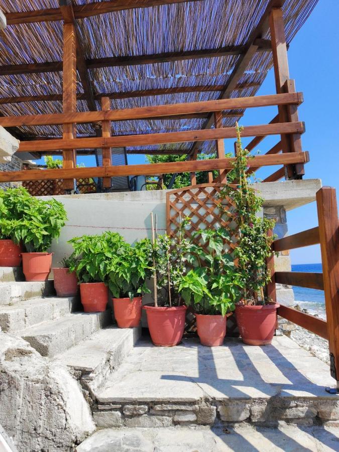 Вилла Συγκρότημα Διαμερισμάτων "Όνειροι" - Ίκελος Загора Экстерьер фото